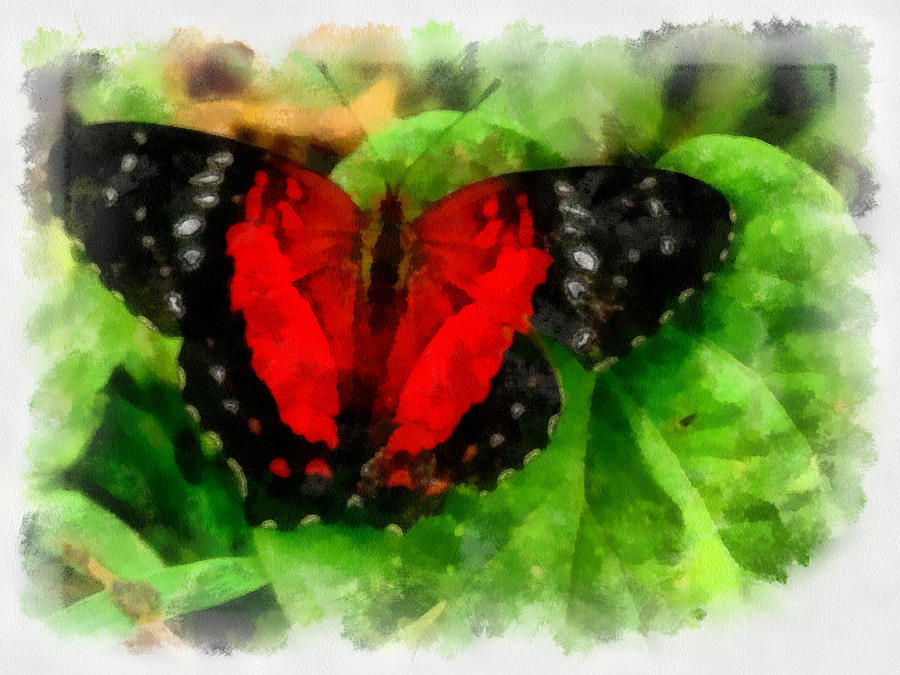 Nature Painting - Butterfly #1 by Athanas Moulas