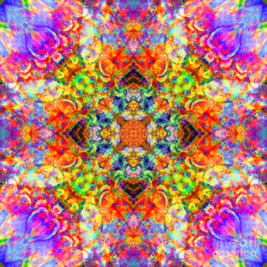 Butterfly Fruity Mandala Digital Art by Susan Bloom - Fine Art America