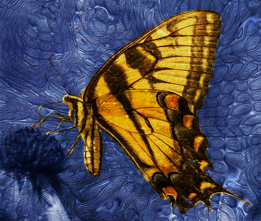Butterfly Painting - Butterfly #3 by Jack Zulli