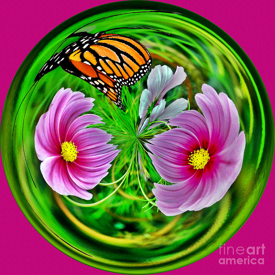 Still Life Photograph - Butterfly Orb #2 by Jeff McJunkin