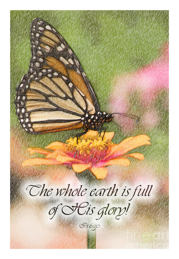 Butterfly Scripture #1 Digital Art by Jill Lang