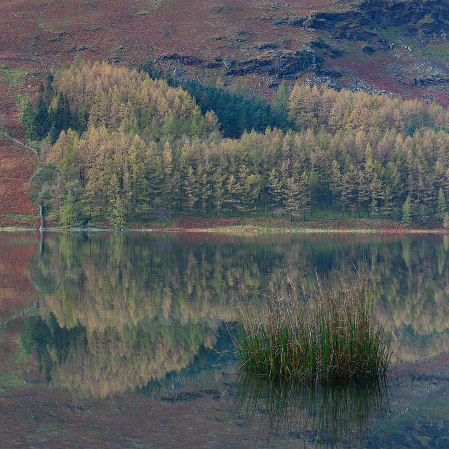 Buttermere Reflections #1 Photograph by Nick Atkin
