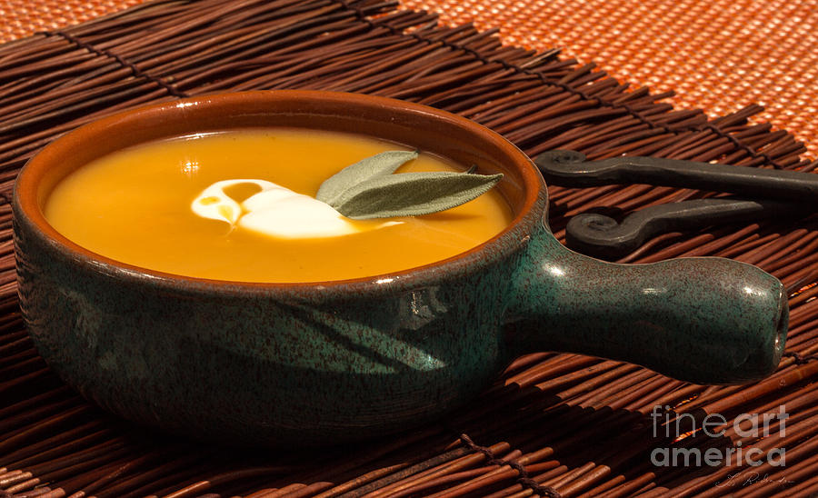 Butternut Squash Soup #2 Photograph by Iris Richardson