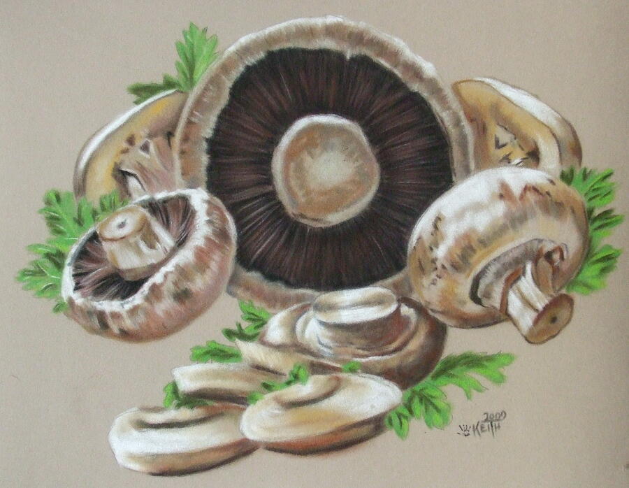 Mushroom Pastel - Buttons by Barbara Keith