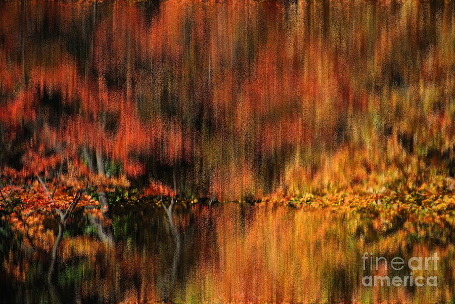By The Pond In Autumn At Longwood Photograph