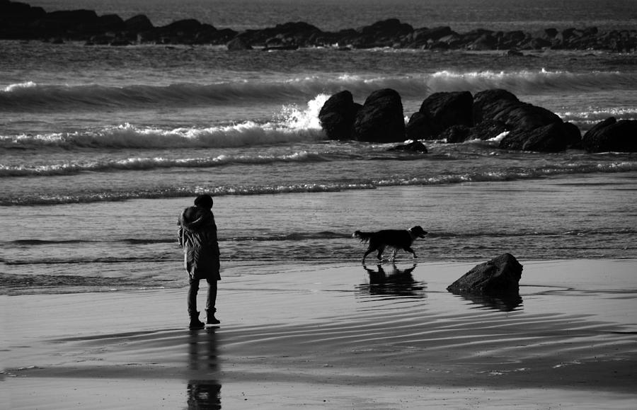 Dog Photograph - By The Seaside by Aidan Moran