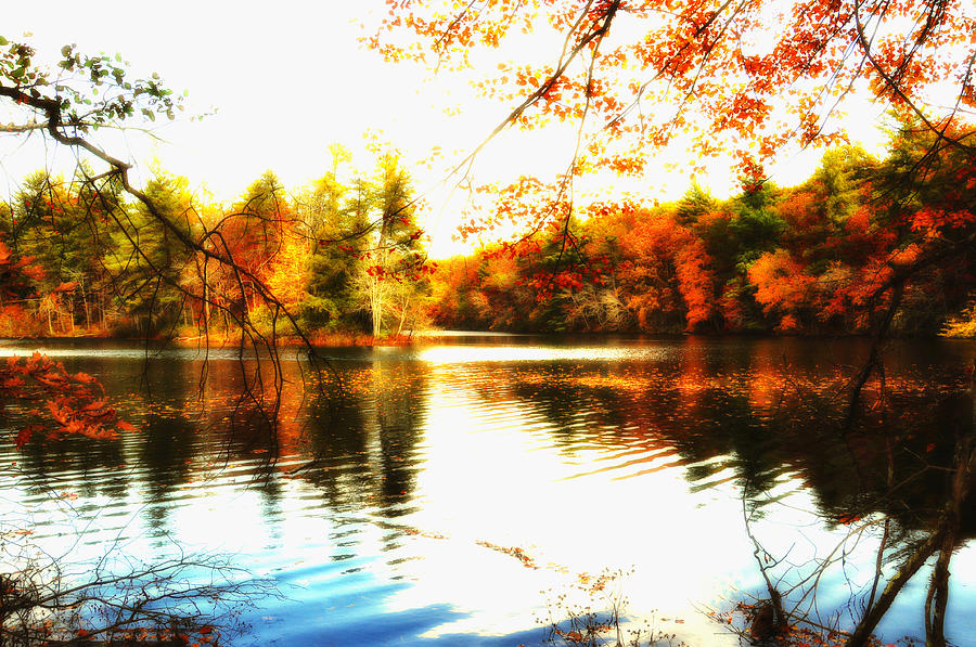 Fall Photograph - Byrd Lake at Cumberland Mountain State Park #1 by Heather Fox