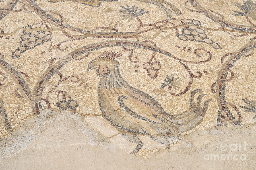 Byzantine mosaic depicting animals and hunting scenes. #1 Photograph by Shay Levy