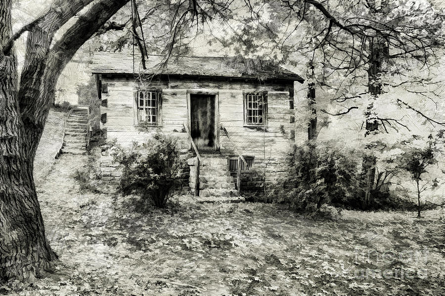 Black And White Photograph - Cabin in the Woods #1 by Darren Fisher