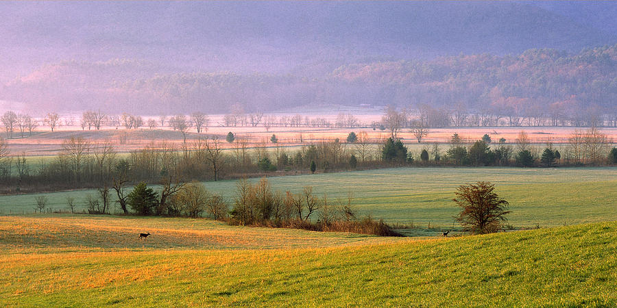 Cades Cove Morning #1 Photograph by Wendell Thompson