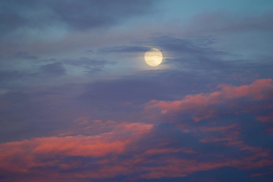 Cajun Moon #1 Photograph by Paul D. Taylor