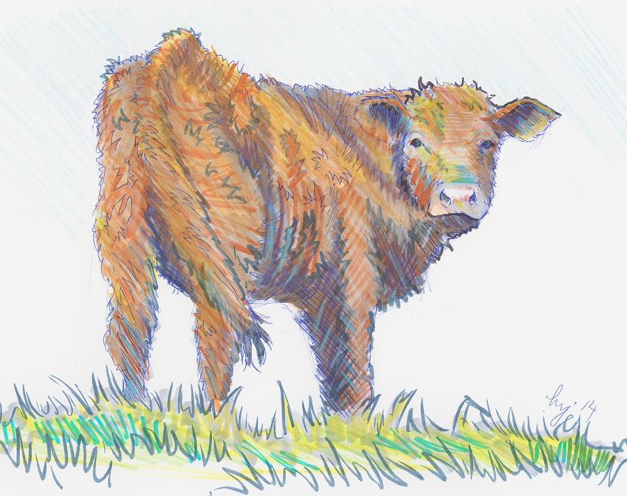 Cow Drawing - Calf #1 by Mike Jory