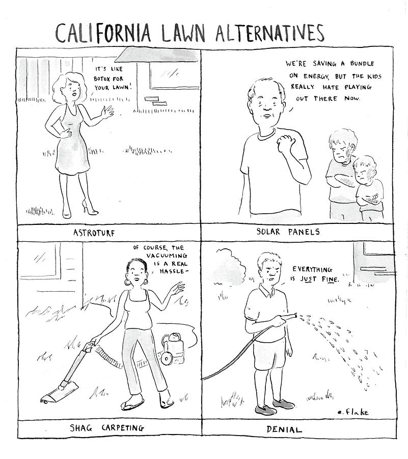 California Lawn Alternatives Drawing by Emily Flake
