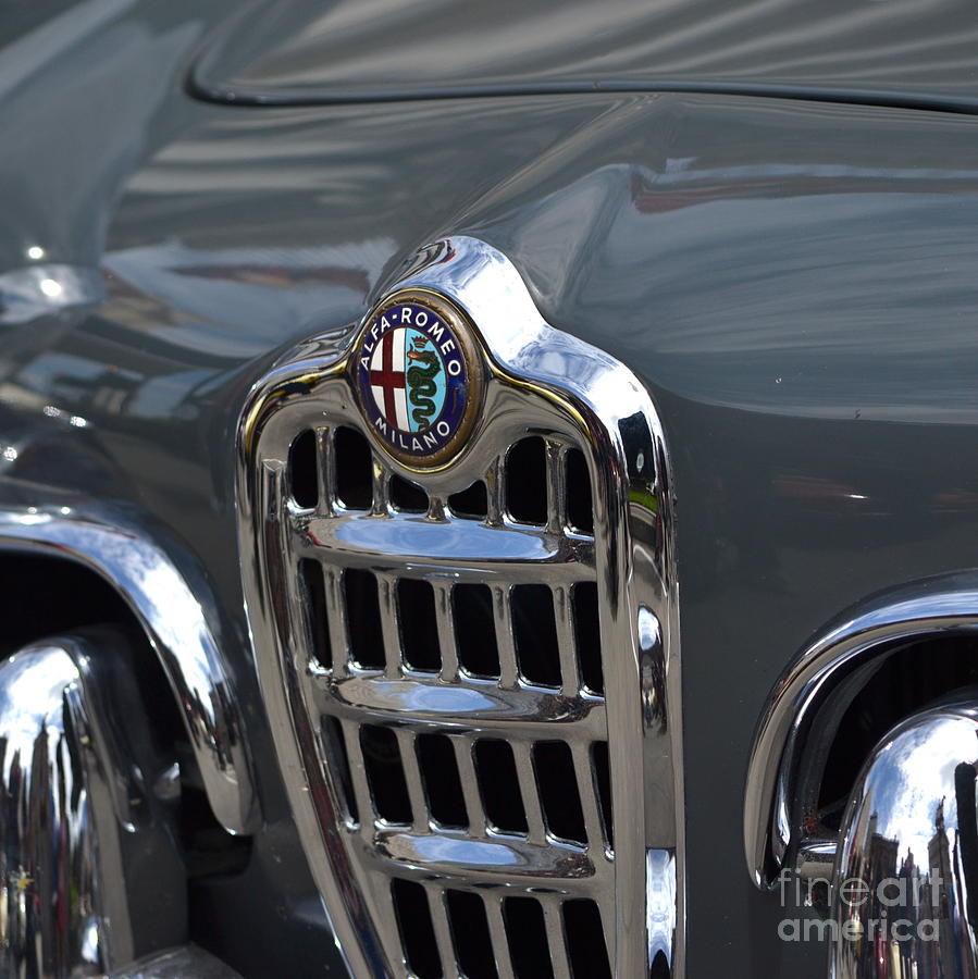 California Mille - Alfa Romeo #1 Photograph by Dean Ferreira