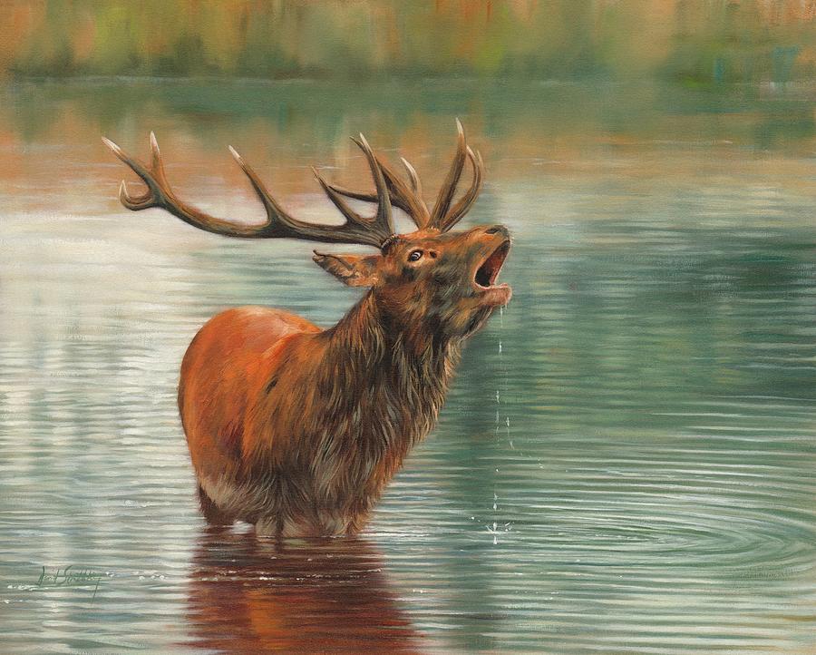 Deer Painting - Call Of The Wild 2 #1 by David Stribbling