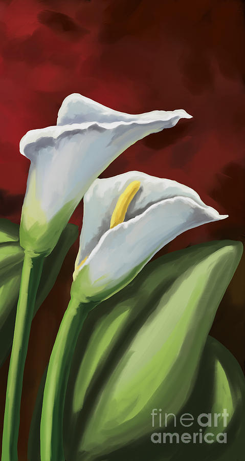 Calla Lilies  #1 Painting by Tim Gilliland