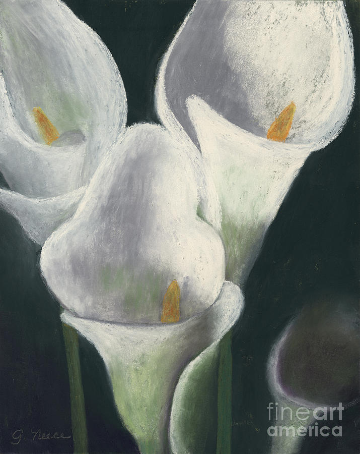 Calla Lilies Up Close Pastel by Ginny Neece