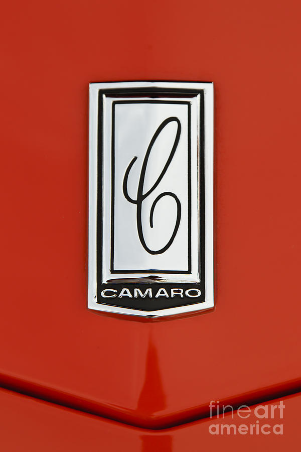 Camaro #1 Photograph by Dennis Hedberg
