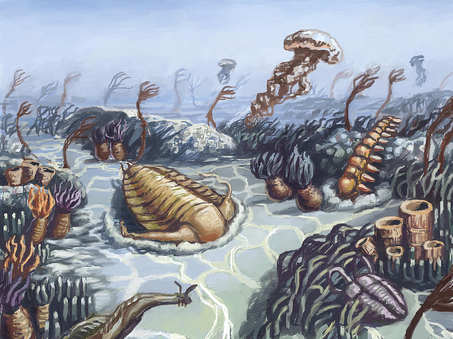 Cambrian Period, Illustration #1 Photograph by Spencer Sutton