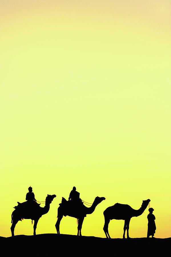 Adam Jones Photograph - Camels And Camel Driver Silhouetted #1 by Adam Jones