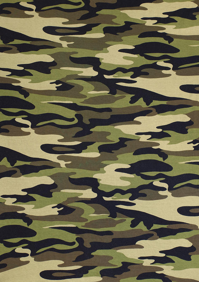 Camouflage background #1 Photograph by Peter Dazeley