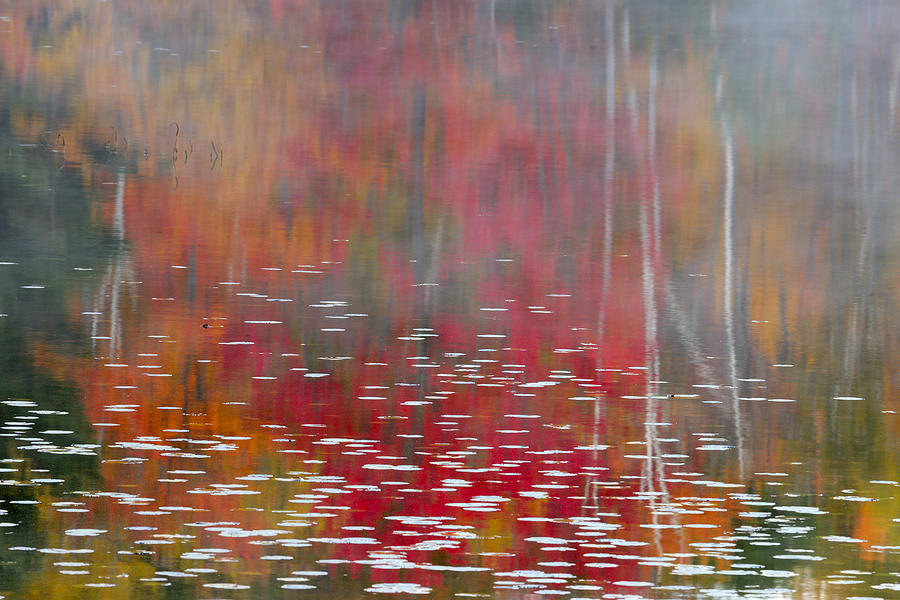 Canadian Autumn Landscape  #1 Photograph by Don Johnston