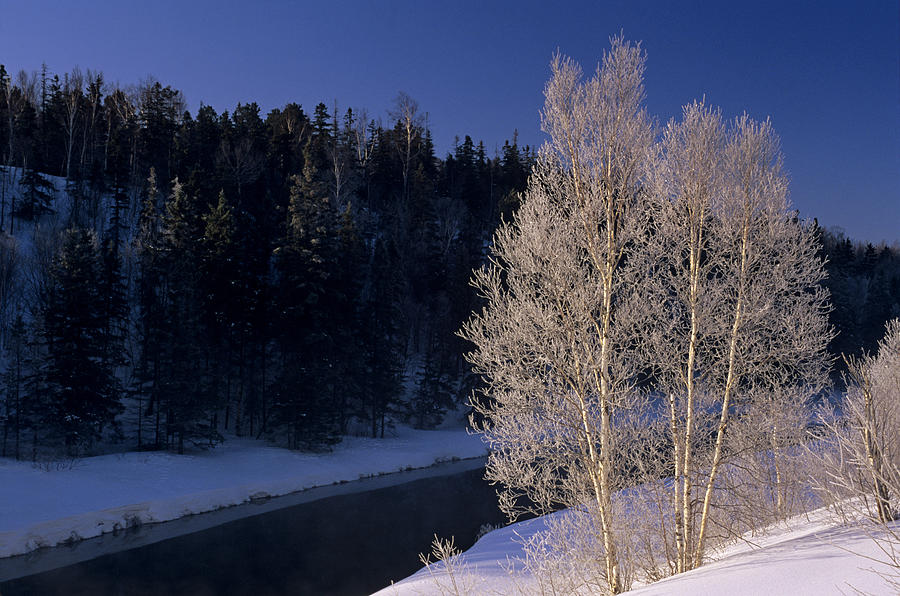 Canadian Winter Landscape #1 Photograph by Don Johnston