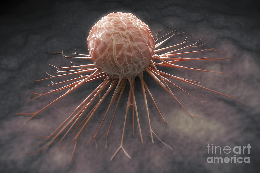 Cancer Cell #1 Photograph by Science Picture Co