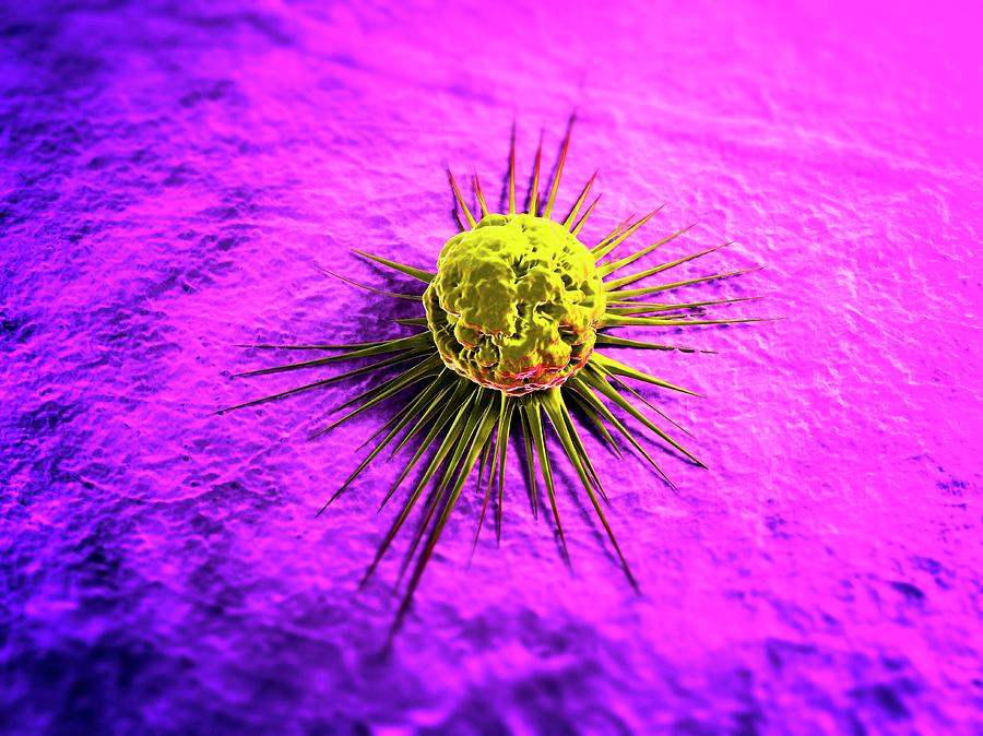 Cancer Cell #1 Photograph by Sciepro/science Photo Library