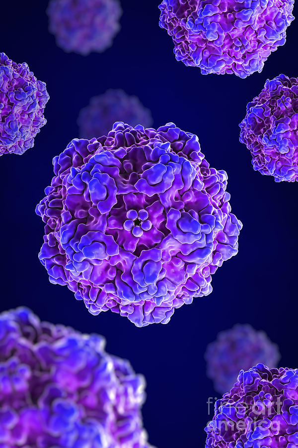 Pathogenic Virus Photograph - Canine Parvovirus #1 by Science Picture Co