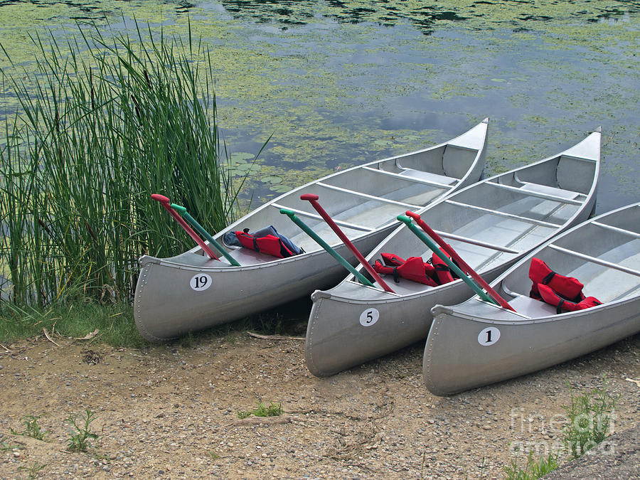 Canoes To Go Photograph