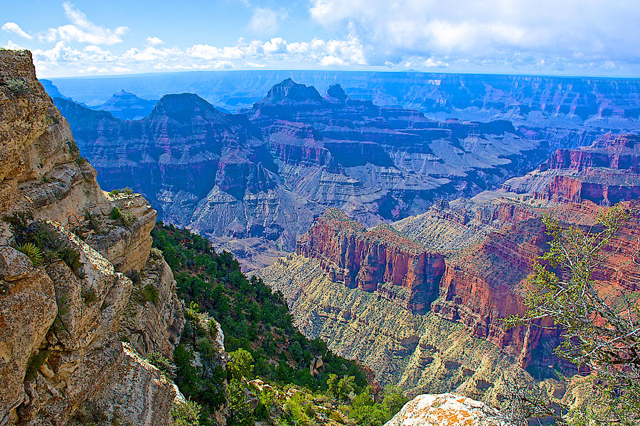 Canyon Contrasts from Bright Angel Point Trail near Grand Canyon Lodge on North Rim of Grand Canyon-Arizona  #1 Photograph by Ruth Hager
