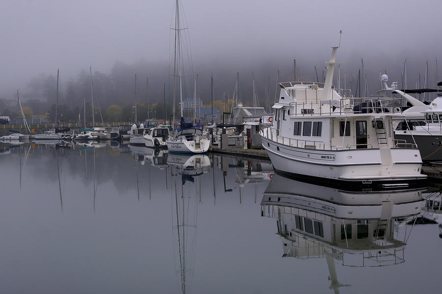 Cap Sante Marina Photograph by Bob Stevens Fine Art America