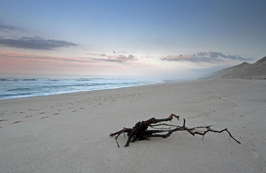 Cape Cod National Seashore #1 Photograph by Juergen Roth