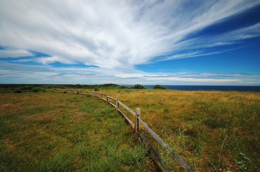 Landscape Photograph - Cape Cod Vista #1 by Lisa Kane
