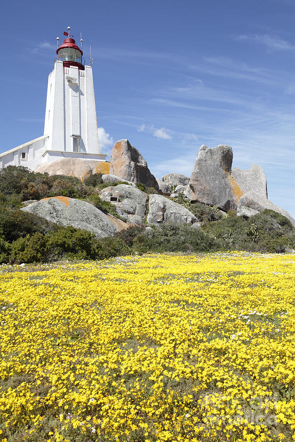 Cape Columbine Lighthouse #1 Photograph by Neil Overy - Pixels