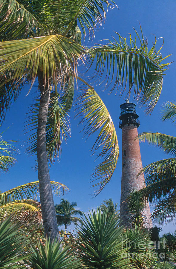 Cape Florida Lighthouse, Fl #1 Photograph by Bruce Roberts