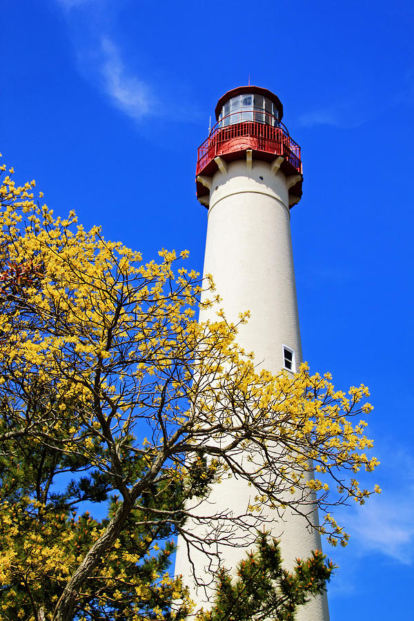 Cape May Lighthouse in the spring Photograph by Carolyn Derstine