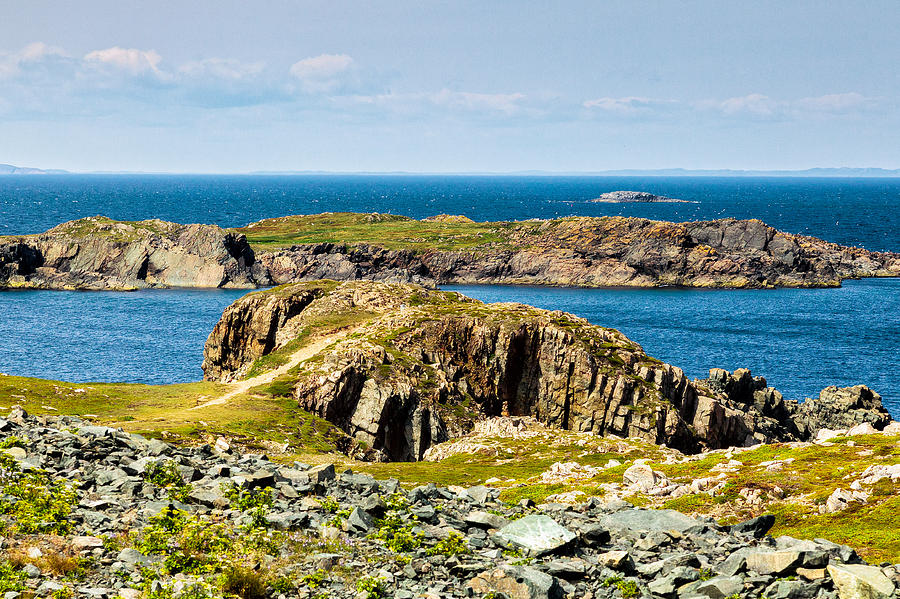 Cape Shore Newfoundland #1 Photograph by Perla Copernik