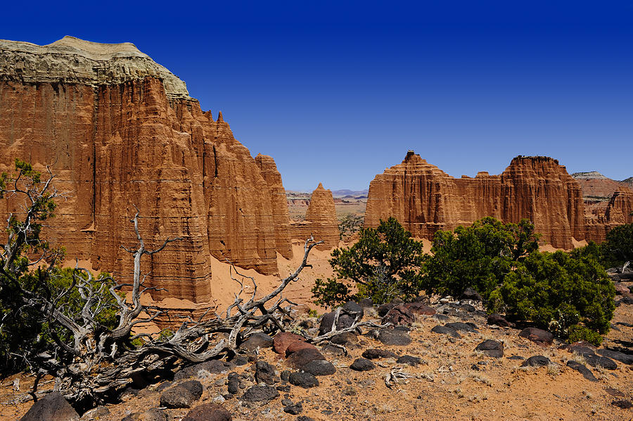 Capital Photograph - Capital Reef by Don and Bonnie Fink Capital Photograph - Capital Reef by Don and Bonnie Fink