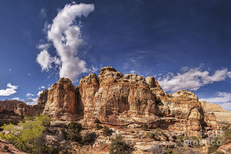 Capitol Reef National Park Utah USA #1 Photograph by Colin and Linda McKie