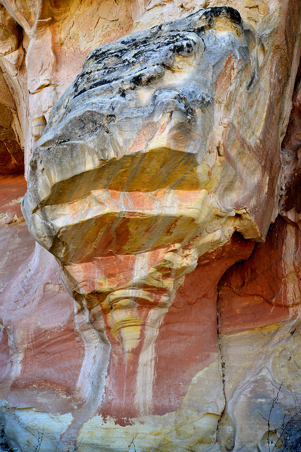 Capitol Reef Wall Art #38 Photograph by Ray Mathis