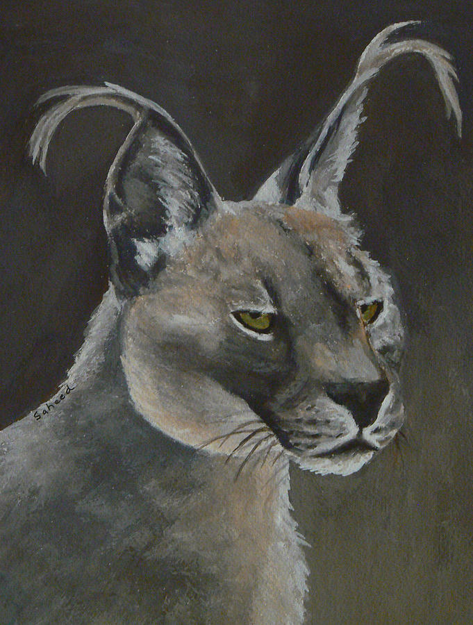 Caracal Cat #1 Painting by Margaret Saheed