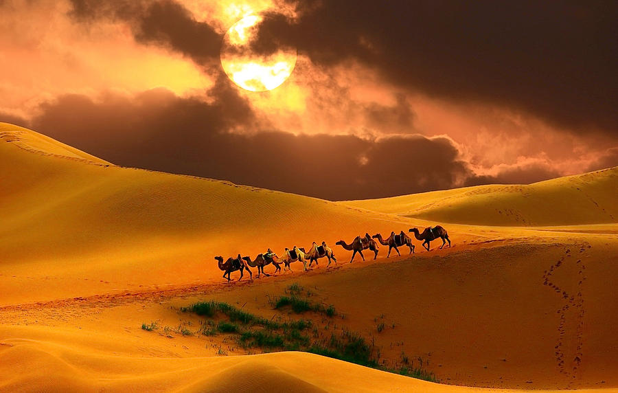 Caravan in the desert #1 Photograph by Mantaphoto Caravan in the desert #1 Photograph by Mantaphoto