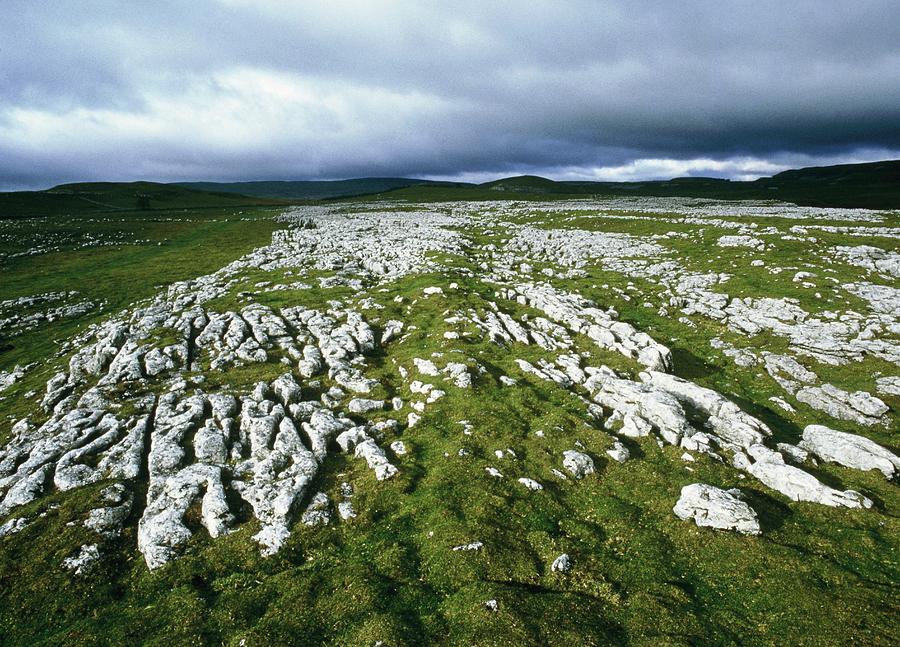 Carboniferous Limestone Pavement #1 by Sinclair Stammers/science Photo ...