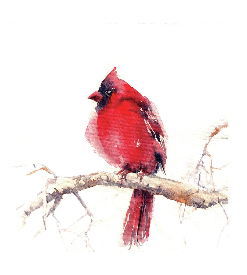 Cardinal Painting by Sophia Rodionov - Fine Art America