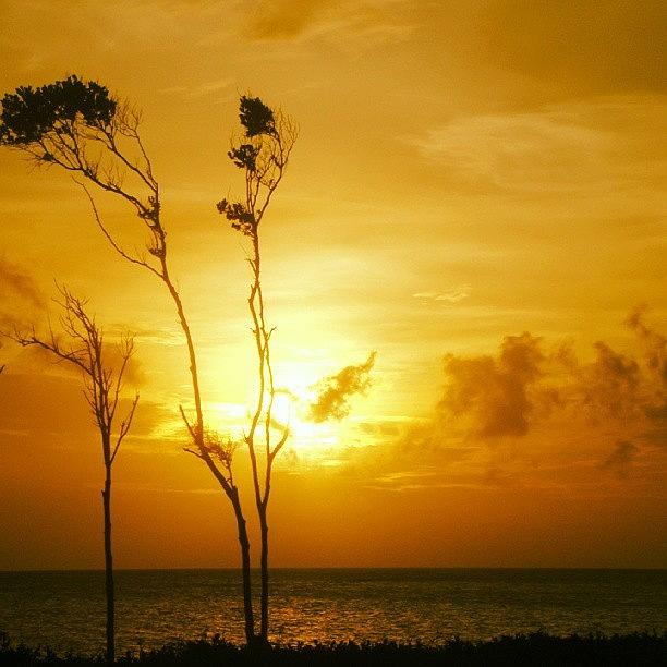 Sunset Photograph - Caribbean sunset #1 by Arminda Mota