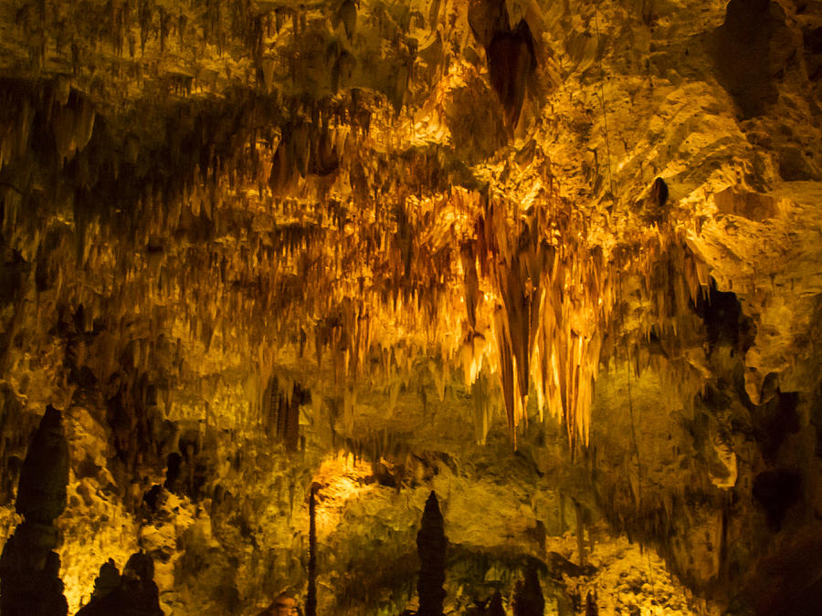 Carlsbad Caverns  #1 Photograph by Jean Noren