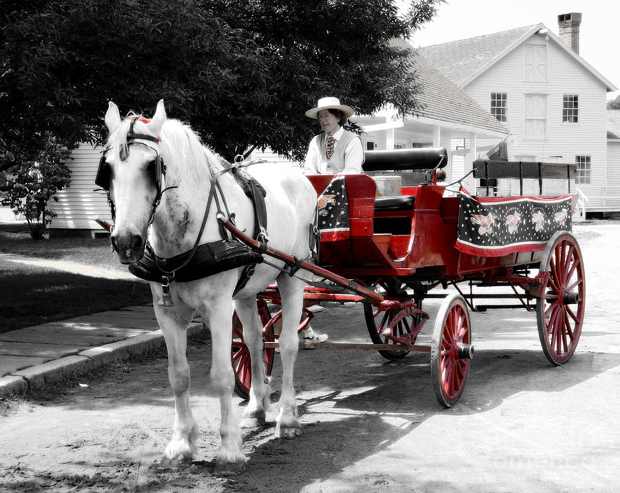 Carriage Ride #1 Photograph by Raymond Earley