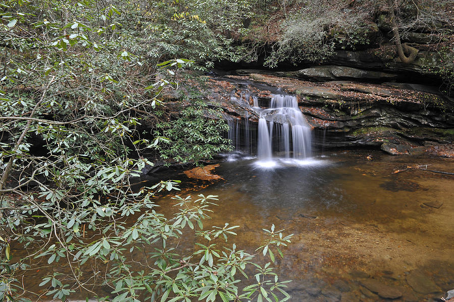 Carrick Creek Falls at Table Rock State Park   Pickens County SC #1 Photograph by Willie Harper